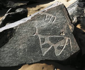 Urgeschichte, Felskunst: Gravur eines Rindes. Tazina-Stil. Steinzeit 5000-2000 v. Chr. Taghit, Hochplateau des Hoggar (Ahaggar), Algerien von Prehistoric Prehistoric