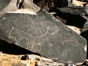 Vorgeschichte, Felskunst: Grabfelsen mit Darstellungen von Löwen, Antilopen, Straußen und Rindern. Steinzeit 5000-2000 v. Chr. Taghit, Hochplateau von Hoggar, Algerien
