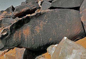 Felskunst: Grabstein mit Darstellung von Rindern. Tazina-Stil. Steinzeit 5000-2000 v. Chr. Taghit, Hochplateau von Hoggar, Algerien