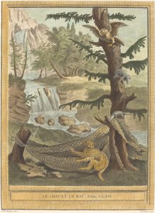 Die Katze und die Ratte