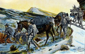 Erster Weltkrieg: Gruppe italienischer Alpenjäger auf Erkundung mit ihren Maultieren im Jahr 1915. Illustration von Quinto Cenni (1845-1917)