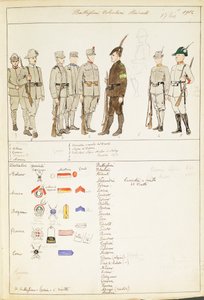 Uniformen der Freiwilligen Studentenbataillone des Königreichs Italien, Farbtafel von Quinto Cenni
