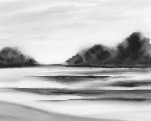 Neblige Waldlandschaft