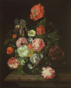 Blume in einer Glasvase