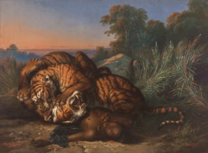 Kämpfende Tiger über der Leiche eines Javaners von Raden Ben Jaggia Saleh Syarif Bustaman
