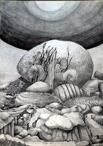 Der Stein-Ei von Raimondo Gambino