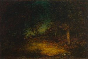 Waldinneres