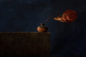 Dunkles Herbst Stillleben von Ramiz Sahin