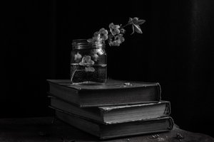 Stimmungsvolle Blüten auf Büchern von Ramiz Sahin