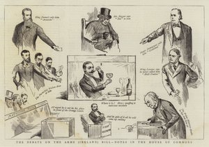 Die Debatte über das Waffen (Irland) Gesetz, Notizen im Unterhaus von Randolph Caldecott