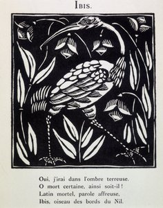 Ibis - in „Le Bestiaire ou cortège d