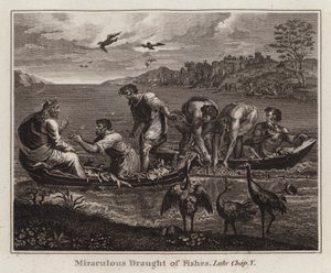 Raphael-Karton: Der wunderbare Fischfang, Lukas, Kapitel V von after Raphael