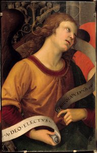 Ein Engel. Fragment des Baronci-Altars (Raffaello Sanzio)