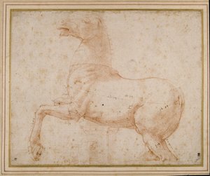 Studie eines Pferdes von Raphael