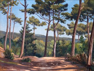 Auf der Düne am Canon