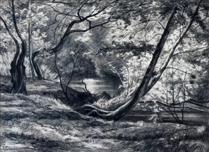 Unterholz mit Fluss von Raymond Bonnefon