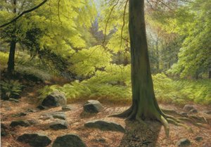 Frühlingssonnenschein in Adel Woods