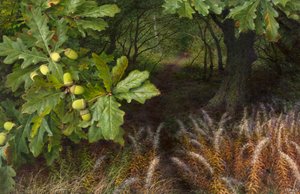 Der Weg in den Wald von Raymond Booth