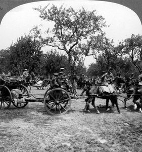 Pferdegezogene Artillerie, Erster Weltkrieg, 1914-1918