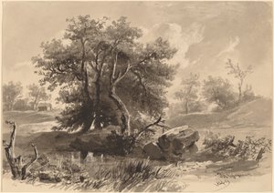 Die Bäume, Bedford, New York von Regis Francois Gignoux