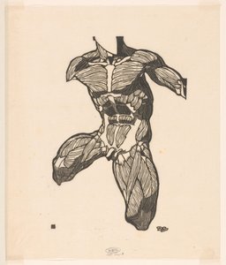 Anatomische Studie der Nacken-, Bauch- und Oberschenkelmuskeln eines Mannes von Reijer Stolk