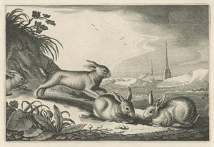Dünenlandschaft mit Kaninchen