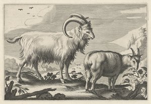 Hügelige Landschaft mit zwei Ziegen
