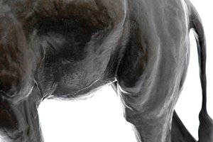 Große Giraffe mit gesenktem Kopf