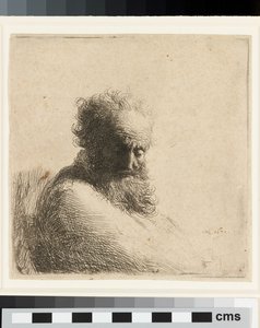 Büste eines alten bärtigen Mannes, der nach unten schaut, drei Viertel rechts von Rembrandt Harmensz. van Rijn