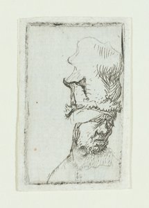 Kopf eines Mannes mit hoher Mütze von Rembrandt van Rijn