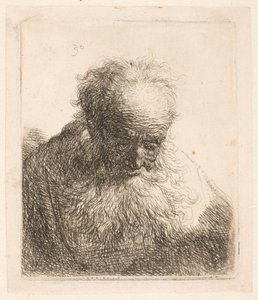 Büste eines alten Mannes mit fließendem Bart: Der Kopf nach vorne geneigt: Linke Schulter unbeschattet von Rembrandt van Rijn