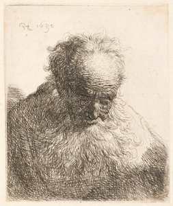 Büste eines alten Mannes mit fließendem Bart: der Kopf nach vorne geneigt: linke Schulter unbeschattet von Rembrandt van Rijn