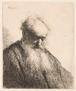 Büste eines alten Mannes mit fließendem Bart: der Kopf dreiviertel nach rechts geneigt von Rembrandt van Rijn