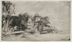 Baumgruppe mit Aussicht von Rembrandt van Rijn