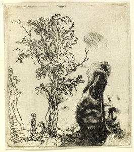 Blatt mit zwei Studien: Ein Baum und der obere Teil des Kopfes des Künstlers mit Samtkappe