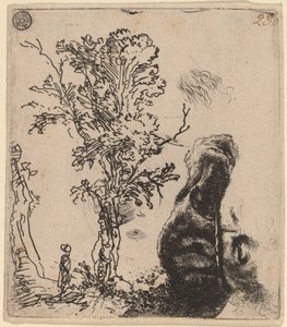 Blatt mit zwei Studien: ein Baum und der obere Teil eines Kopfes des Künstlers mit Samtkappe