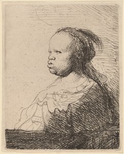 Die weiße Negerin von Rembrandt van Rijn
