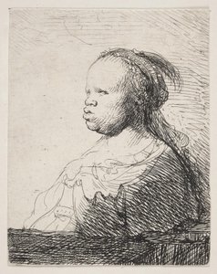 Das weiße Schwarz von Rembrandt van Rijn