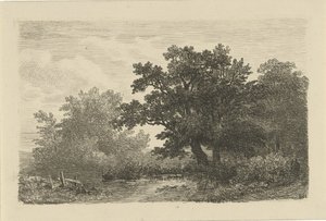 Bäume an einem Teich von Remigius Adrianus Haanen