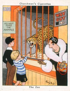 Der Zoo von René Bull