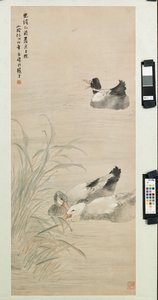 Enten, 1885
