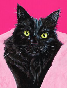Lebhaftes Schwarze Katze Porträt