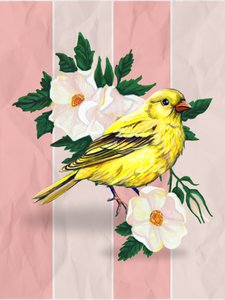 Gelber Vogel Wilde Rosen