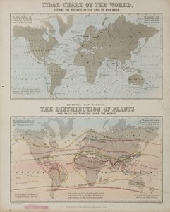 Eine Gezeitenkarte und eine Karte der Verteilung von Pflanzen weltweit, ca. 1850