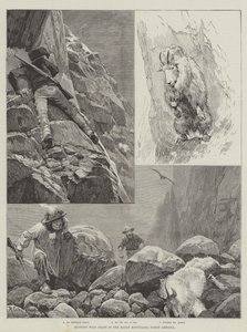 Jagd auf Wildziegen in den Rocky Mountains, Nordamerika von Richard Caton Woodville junior