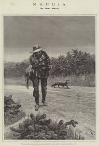 Maruja, von Bret Harte