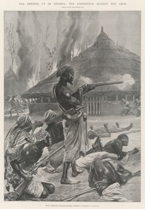 Die Erschließung Nigerias, die Expedition gegen die Aros