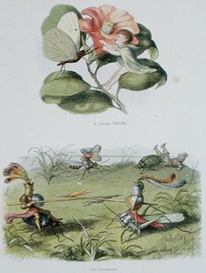 Ein tanzender Schmetterling und das Turnier, Illustrationen aus 