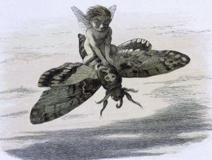 Ein Elf, der auf einem Schmetterling reitet. Illustration von Richard Doyle aus "In Fairy land. Eine Serie von Bildern aus der Elfenwelt" begleitet von einem Gedicht von W Allingham. 1869-1870. The British Library Institution Reference: Shelfmark ID: 1876 