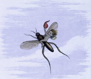 Ein Elf auf dem Rücken eines Insekts. Illustration von Richard Doyle aus 